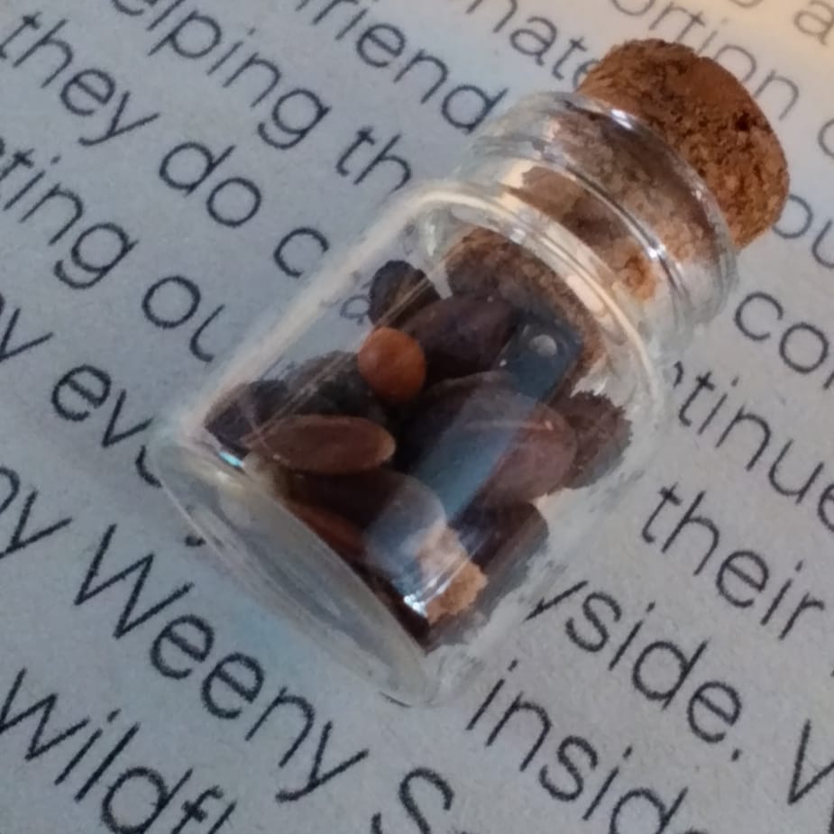 Adopt a Lincolnshire Queen Bee