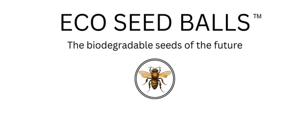 ECO SEED BALLS