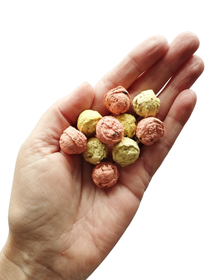 Native Wildflower box of 10 Eco Seed Balls