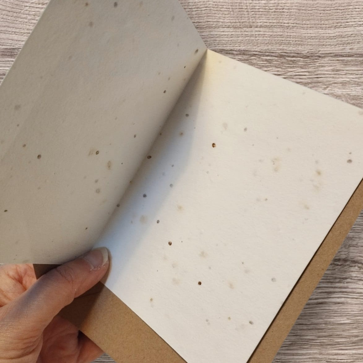 Plantable Cards Hare