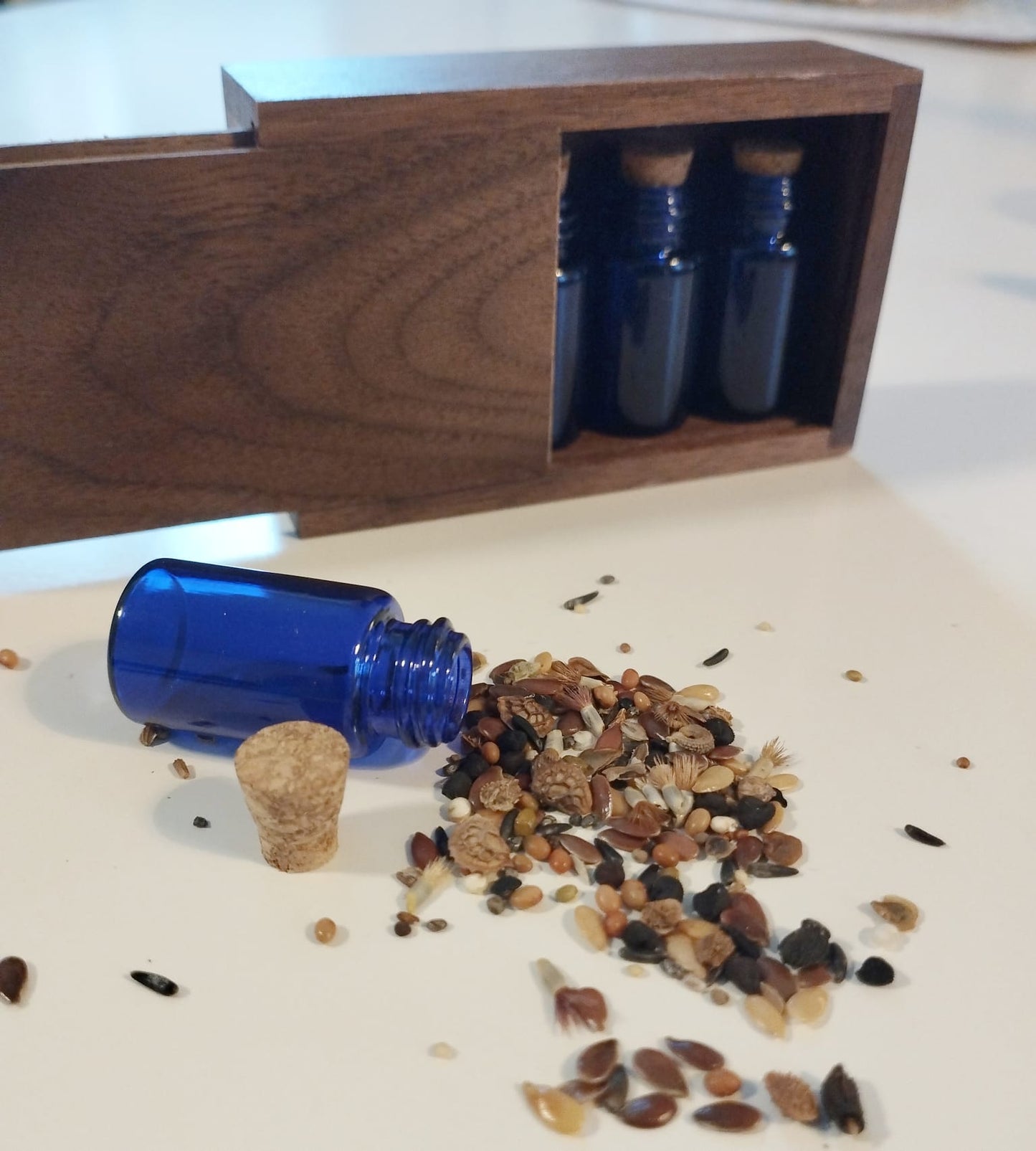 Seed Jars for Sophie's Journey