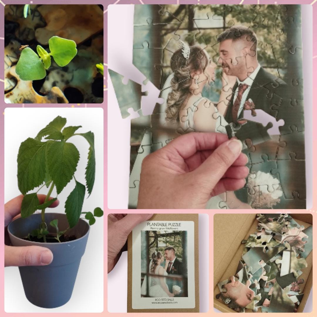 Create Your Own Plantable Jigsaw Puzzle