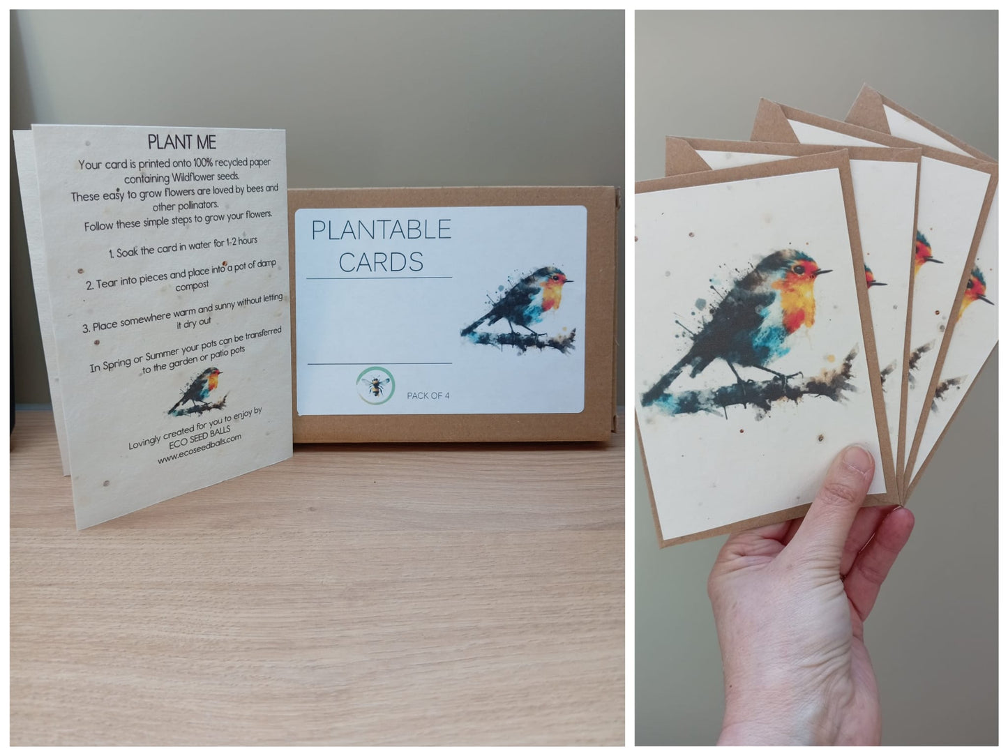 Plantable Cards Robin