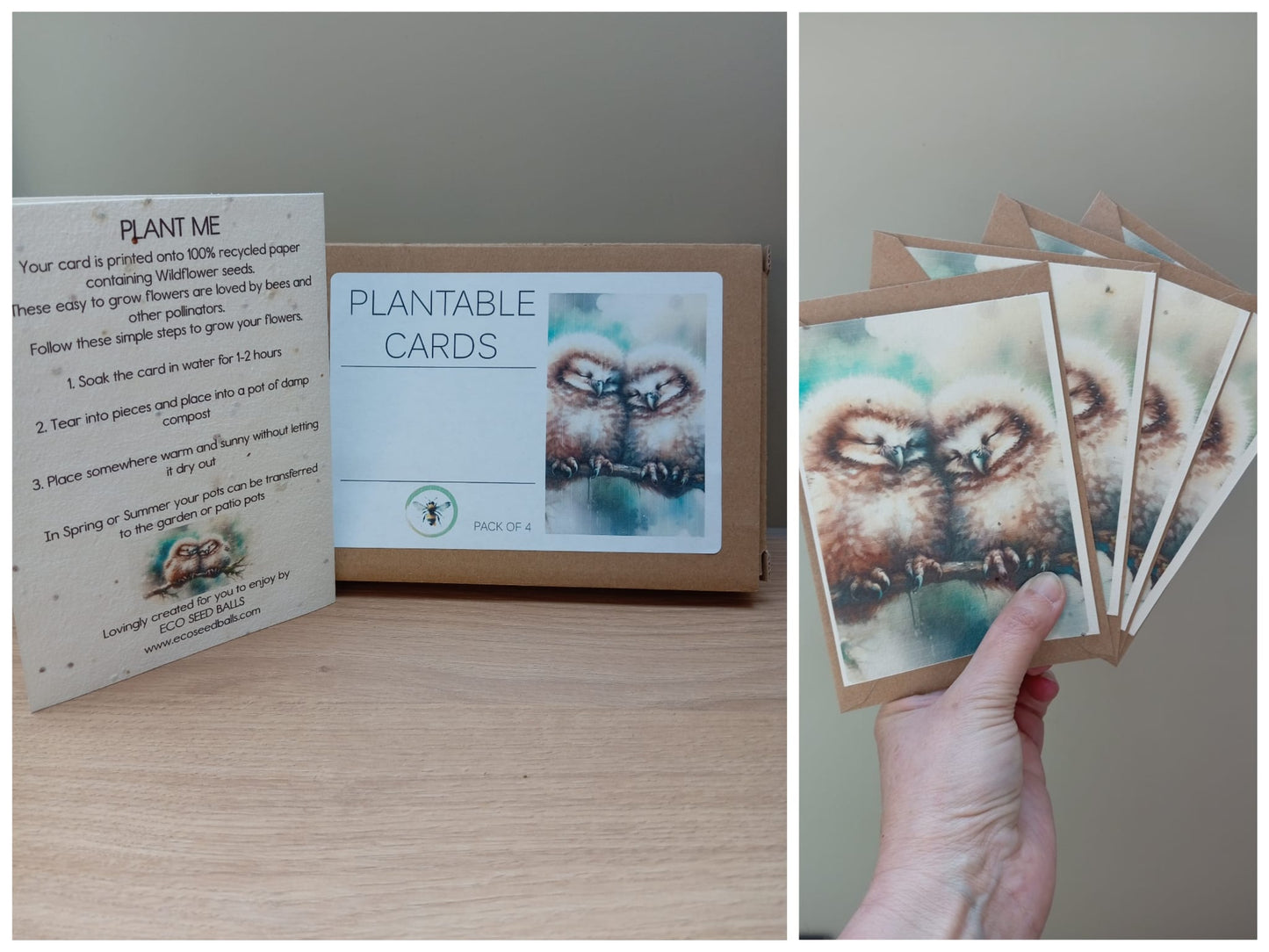 Plantable Cards Owls