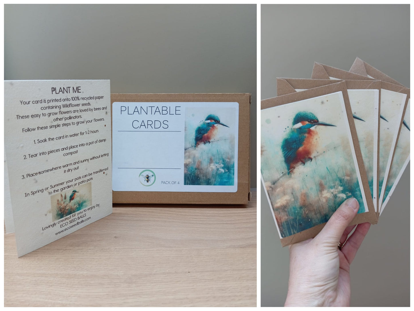 Plantable Cards Kingfisher
