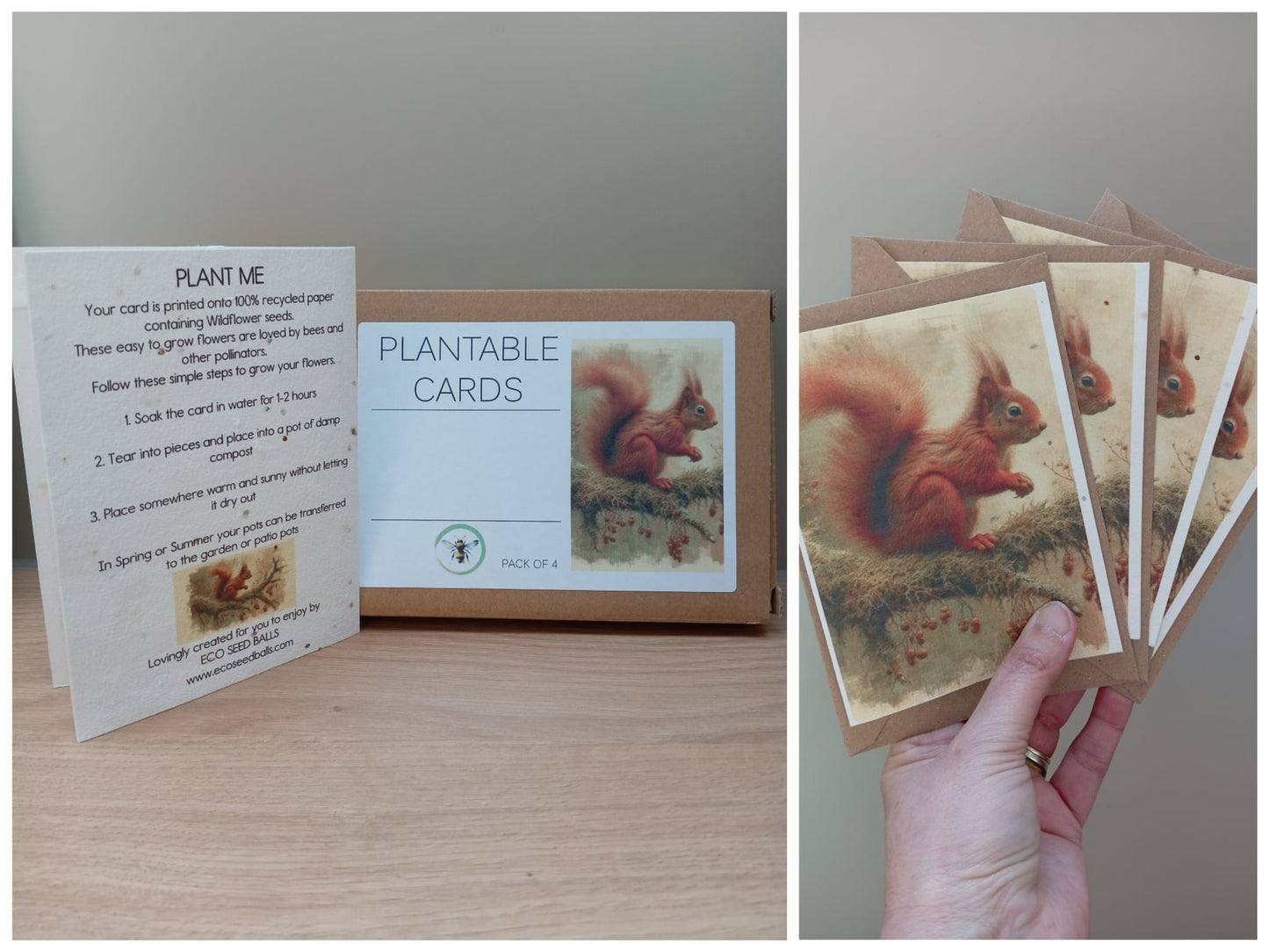 Plantable Cards Squirrel