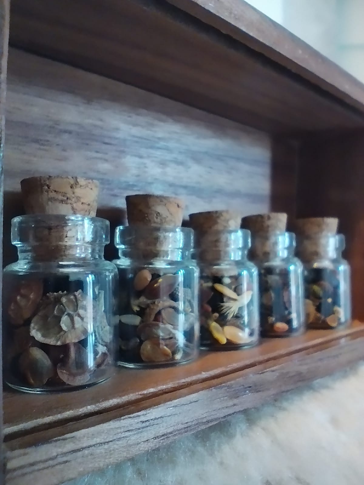 Teeny Weeny Seed Jars