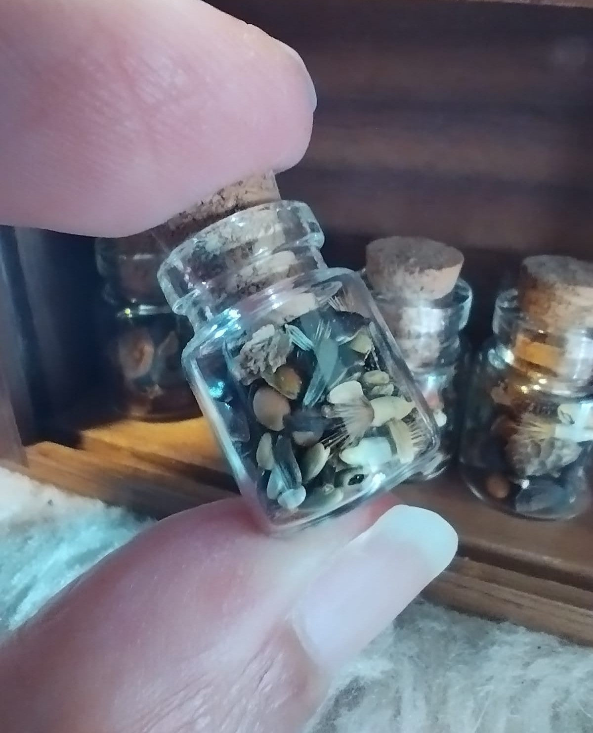 Favours - Luxury Seed Jar Favours