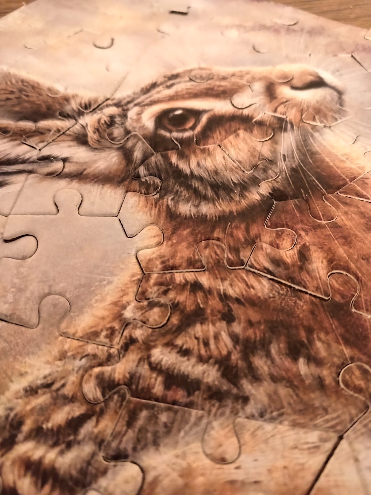Plantable Puzzle Hare