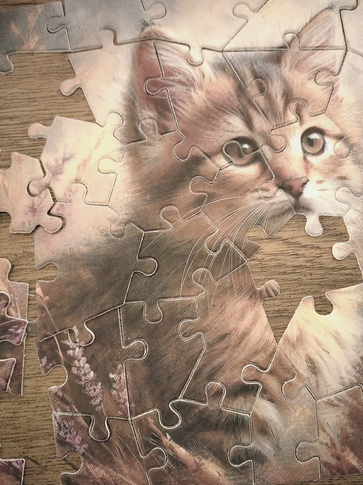 Plantable Puzzle Cat