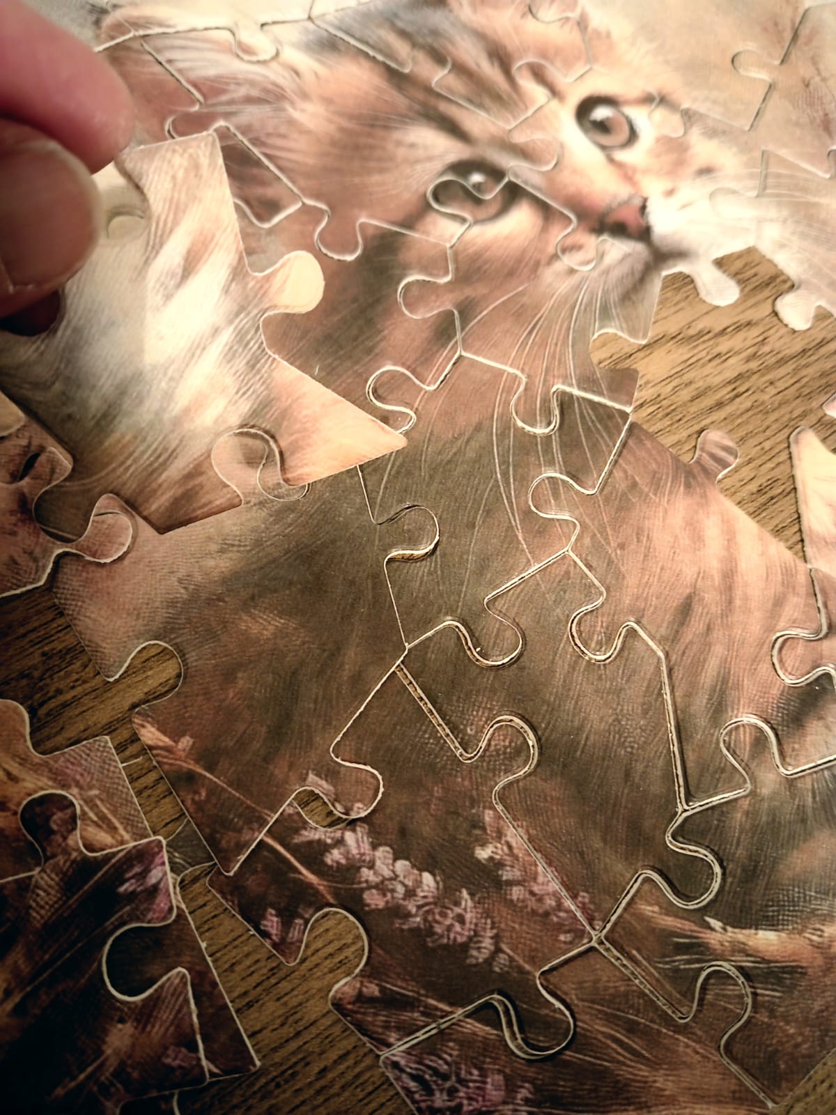 Plantable Puzzle Cat