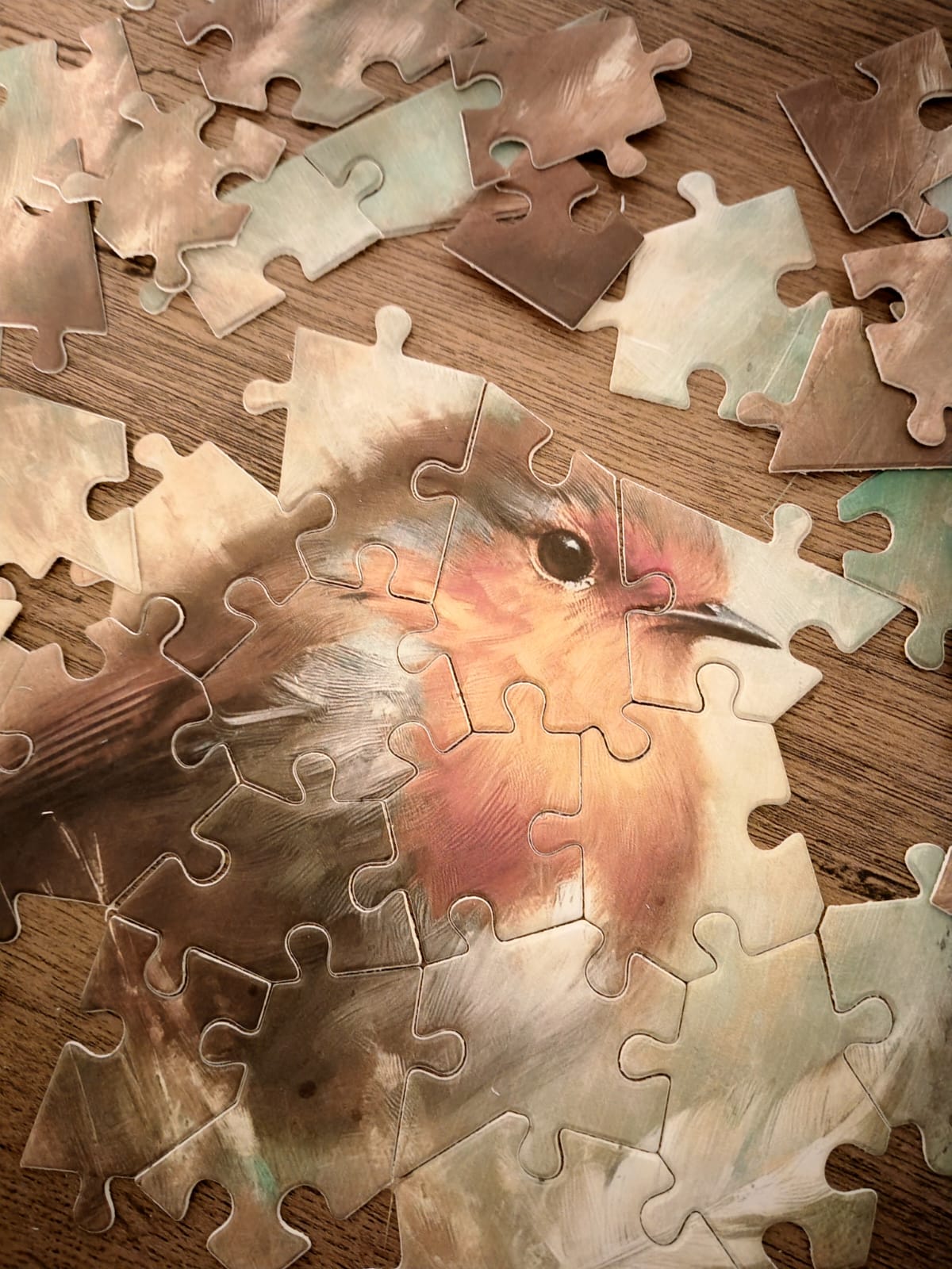 Plantable Puzzle Robin