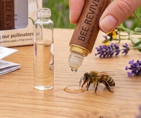 Bee Revive Kit - Replacement Syrup