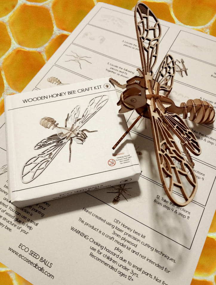 Wooden honey bee kit