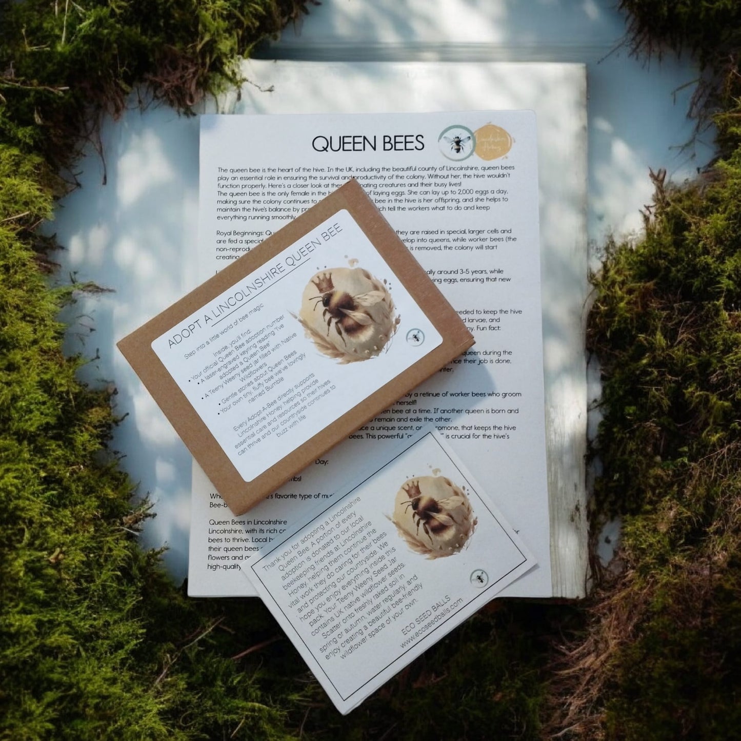 Adopt a Lincolnshire Queen Bee