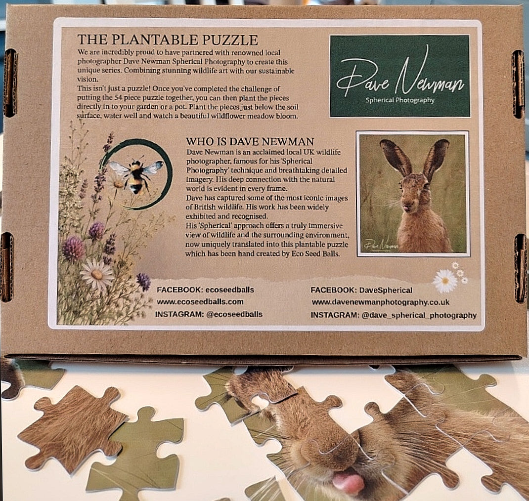 Cheeky Hare Plantable Puzzle | Wildlife Photography by Dave Newman