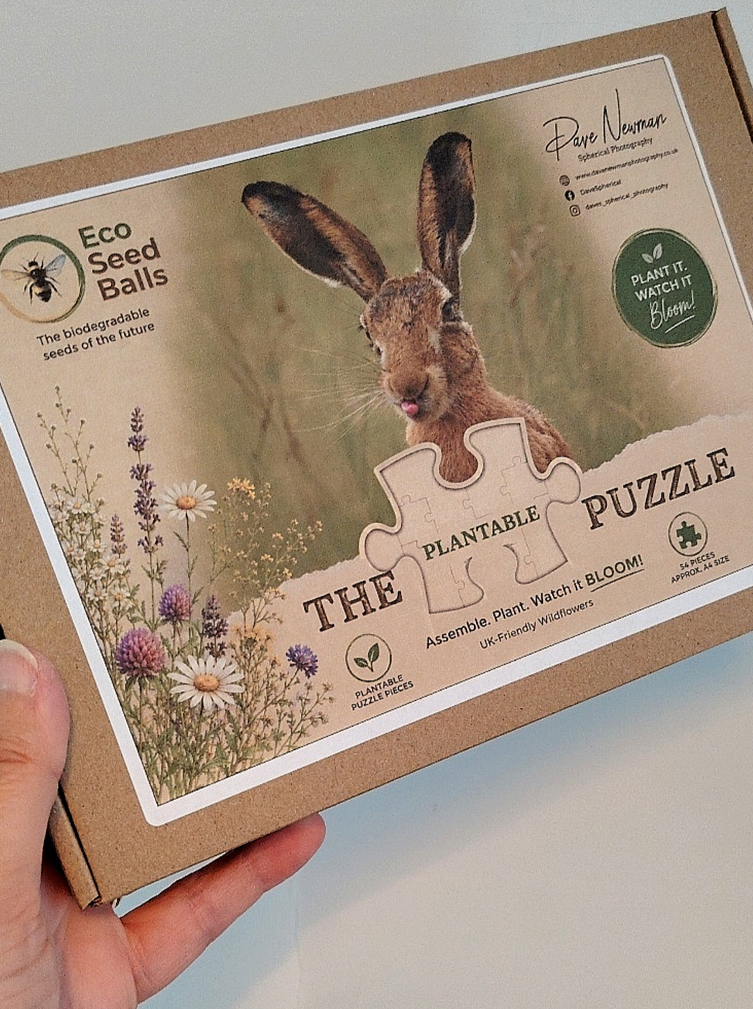 Cheeky Hare Plantable Puzzle | Wildlife Photography by Dave Newman