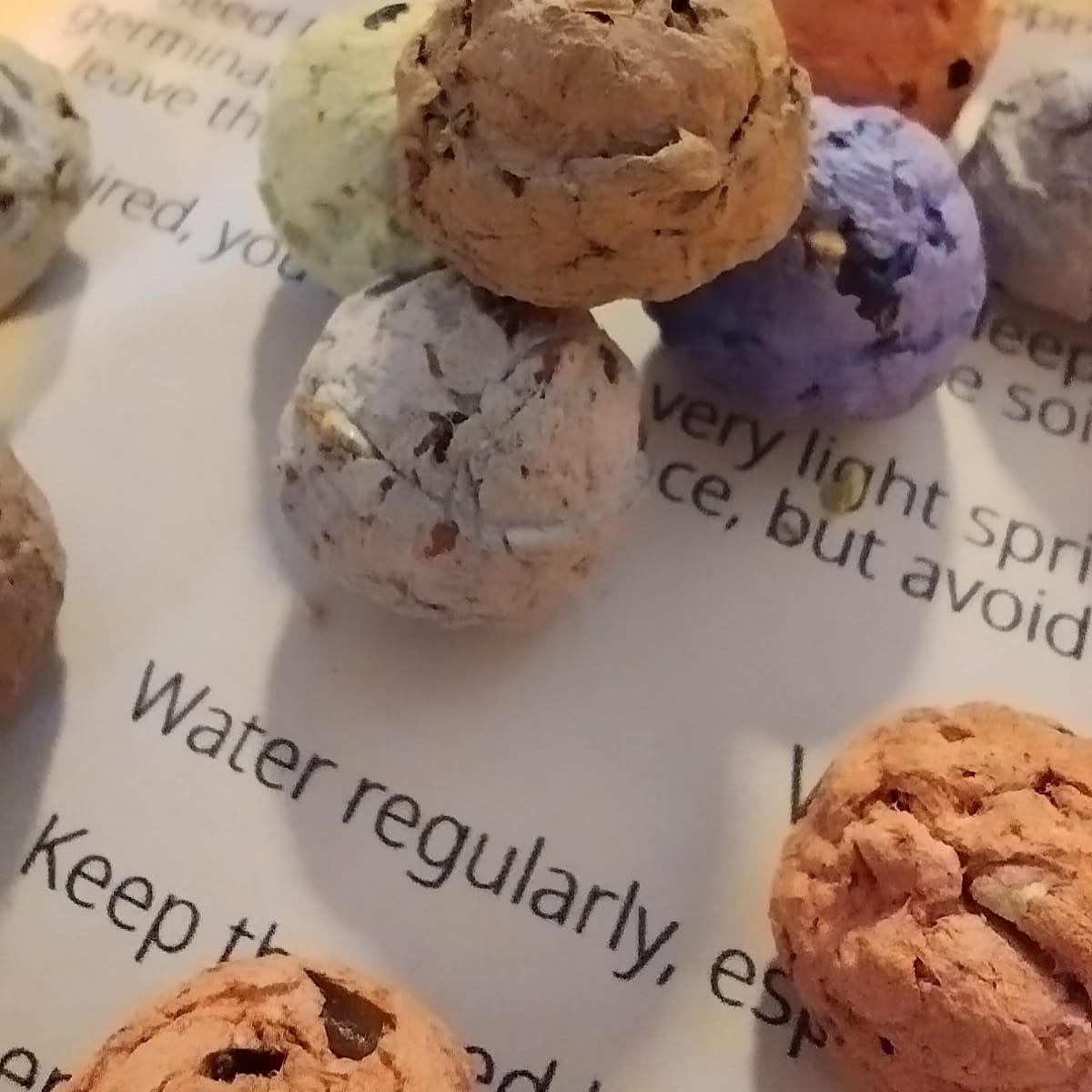 Eco Seed Balls Native Wildflower