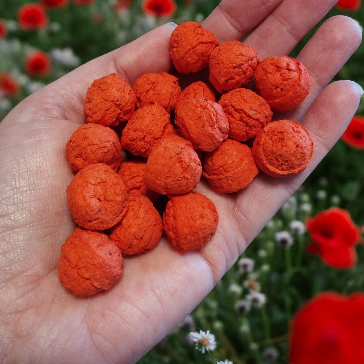 Eco Seed Balls Poppy