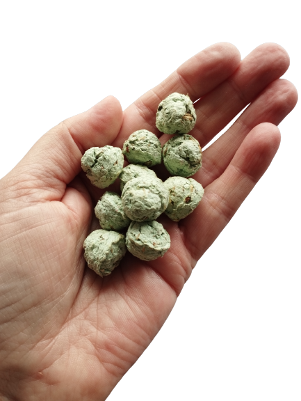 Frog box of 10 Eco Seed Balls