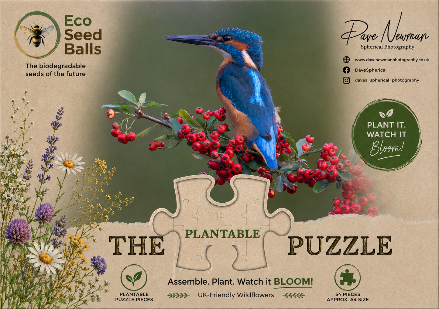 Kingfisher Plantable Puzzle | Wildlife Photography by Dave Newman