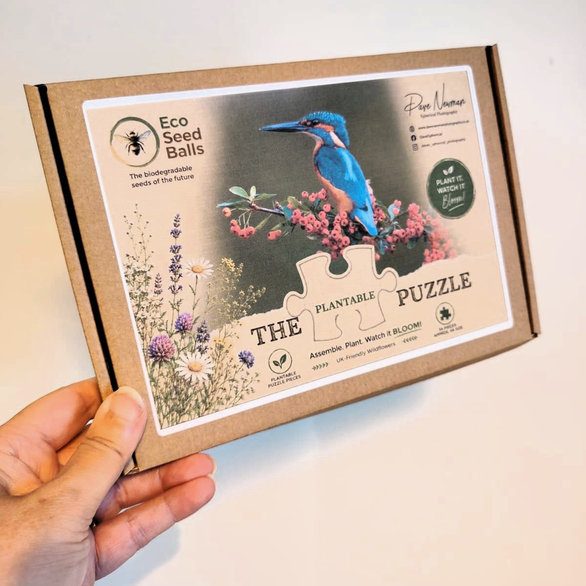Kingfisher Plantable Puzzle | Wildlife Photography by Dave Newman