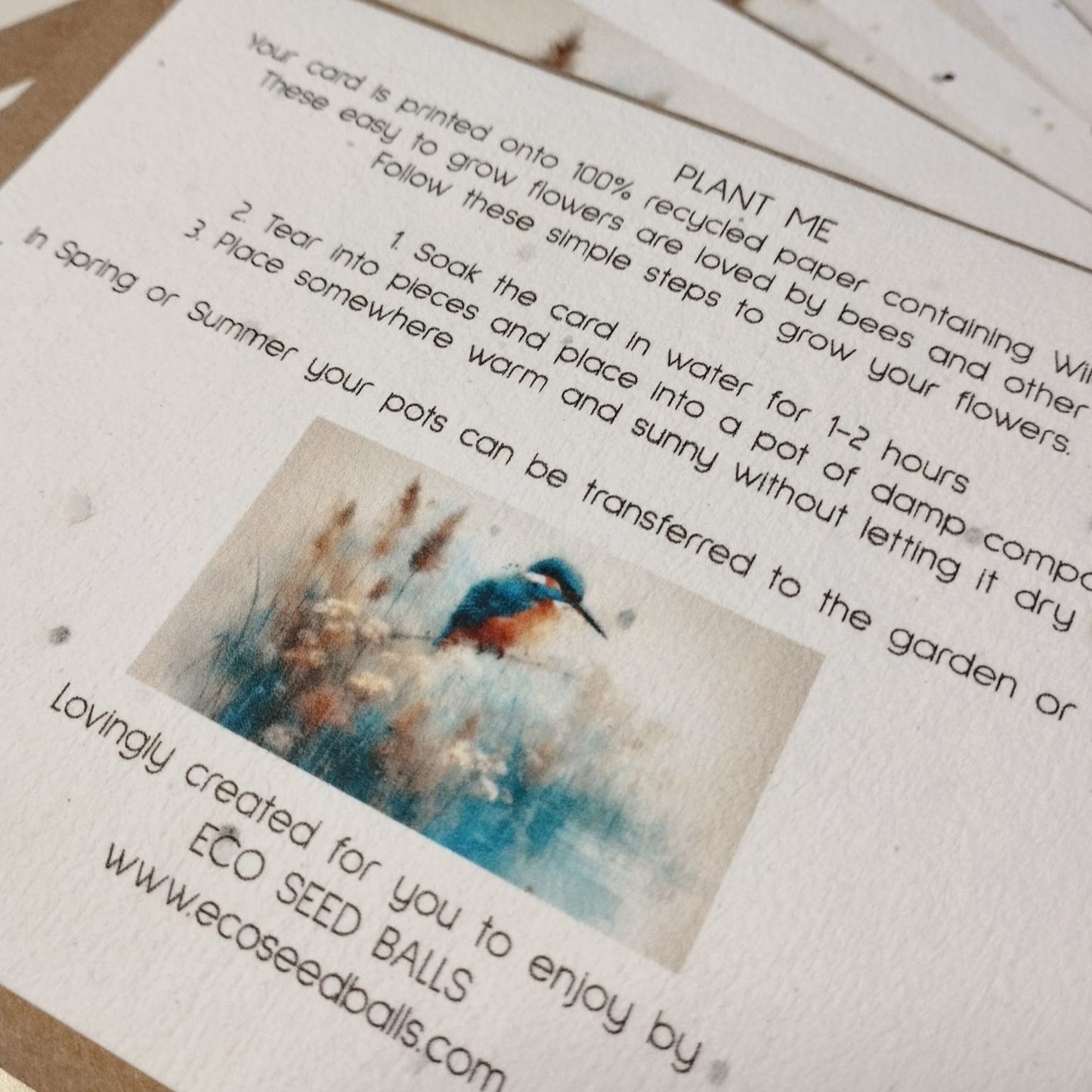 Plantable Cards Kingfisher