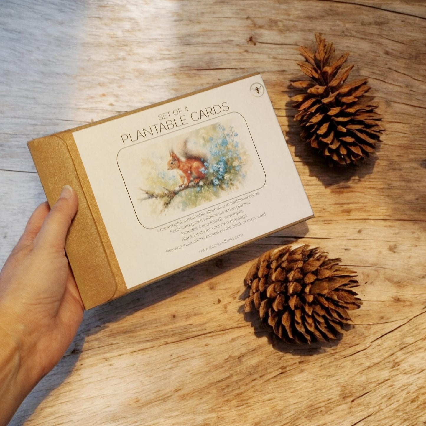 Plantable Cards Squirrel