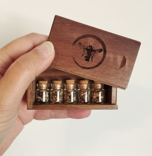 Native Wildflower Seed Gift Set