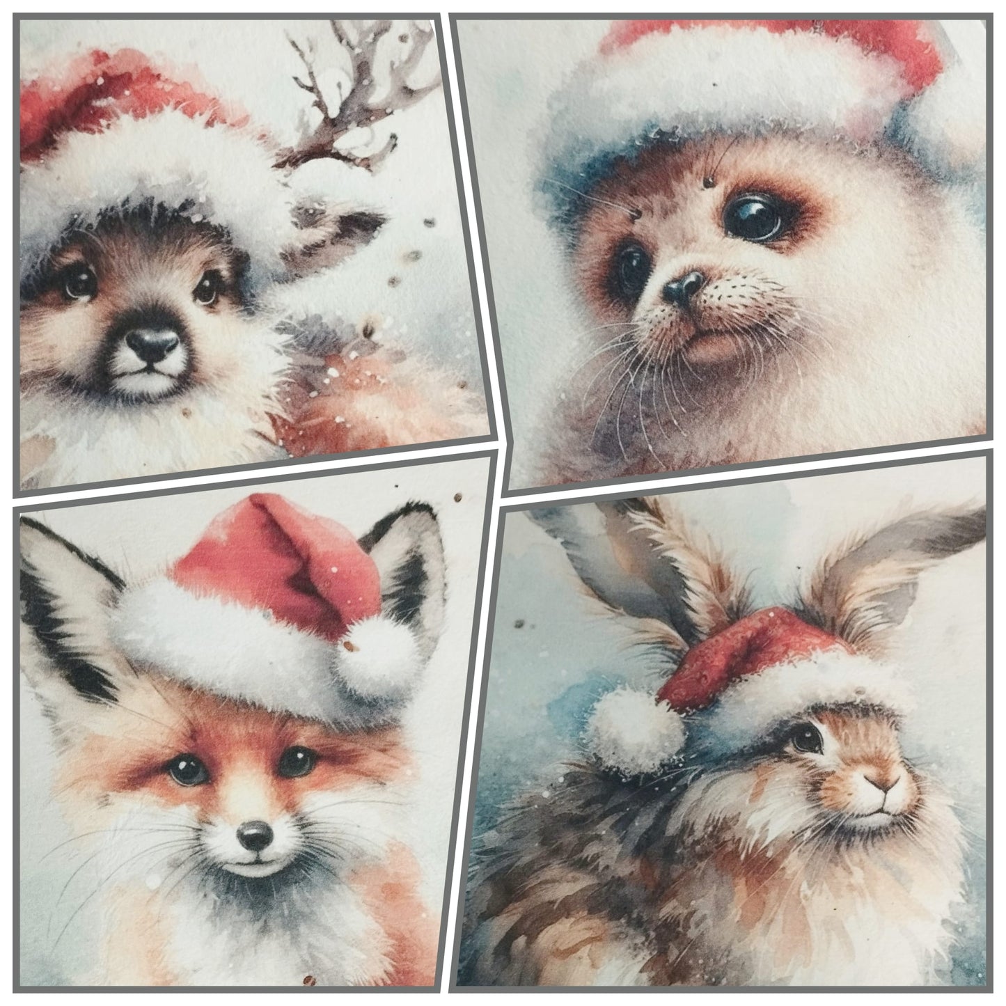 Plantable Cards Festive A