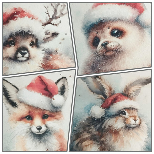 Plantable Cards Festive A