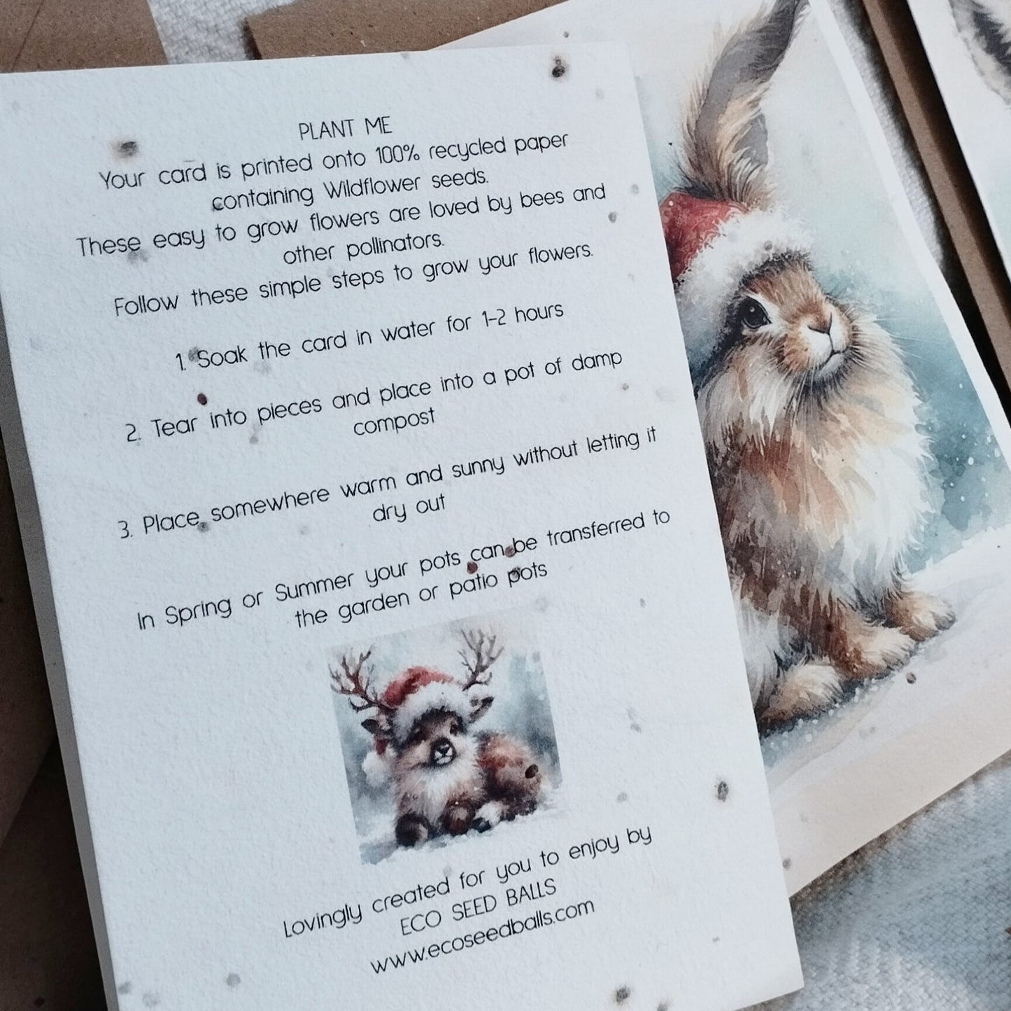 Plantable Cards Festive A