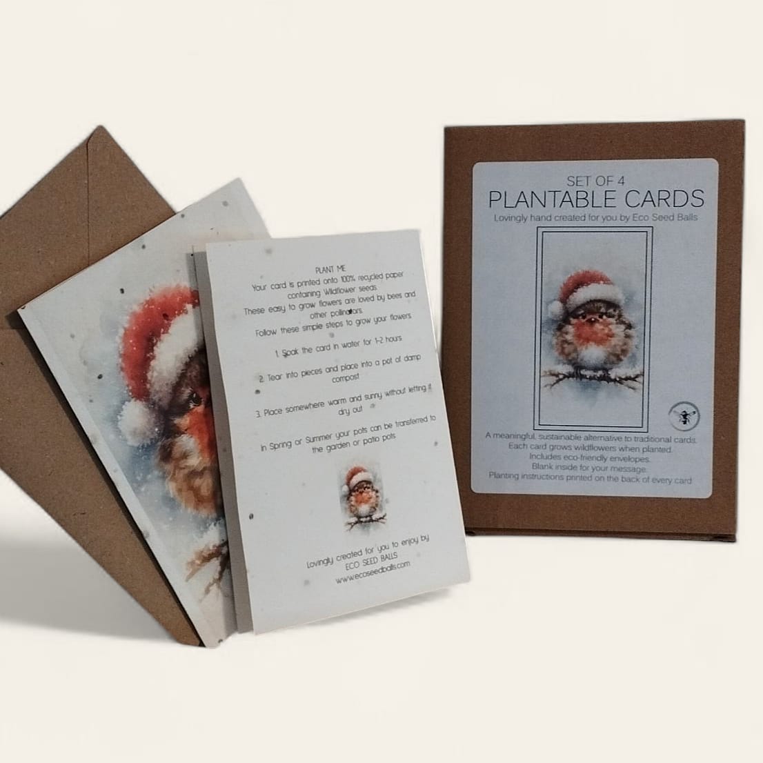 Plantable Cards Festive Robin