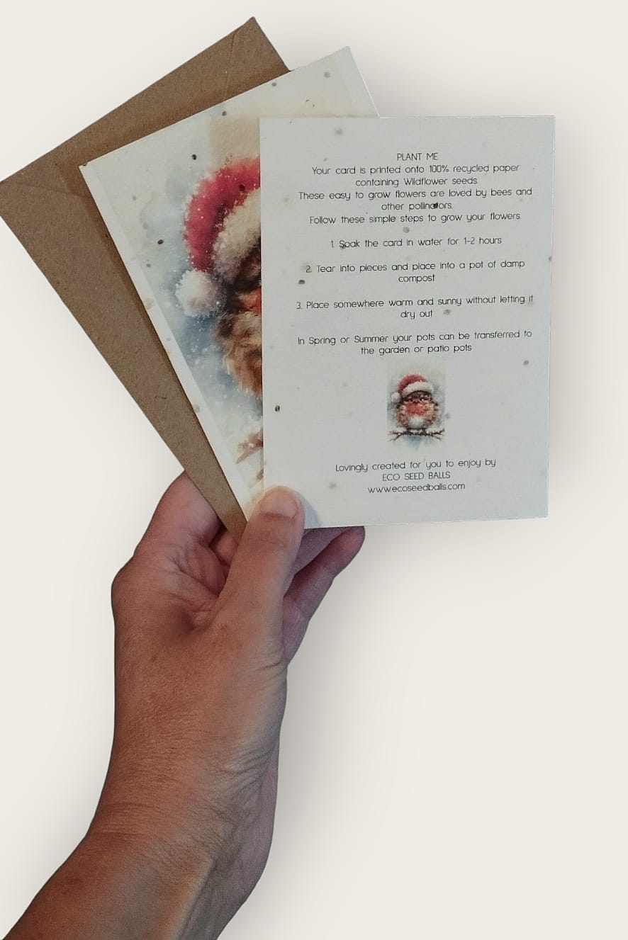 Plantable Cards Festive Robin