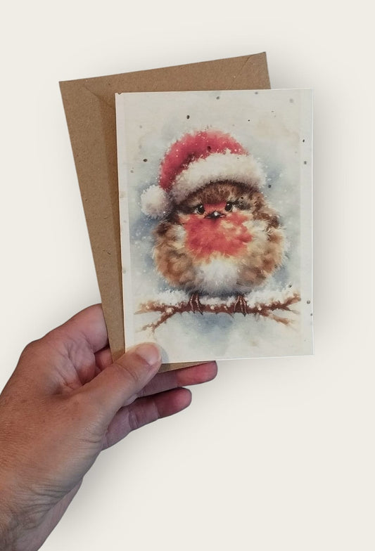 Plantable Cards Festive Robin