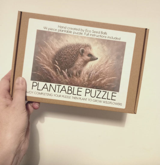 Plantable Puzzle Hedgehog