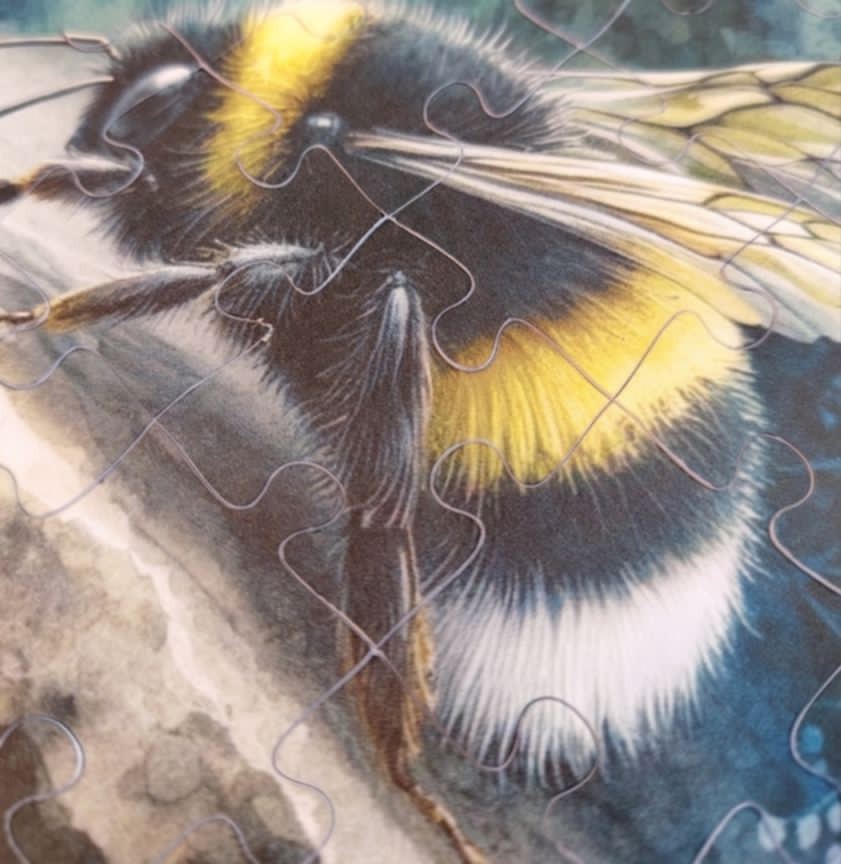 Bumble Bee Plantable Puzzle
